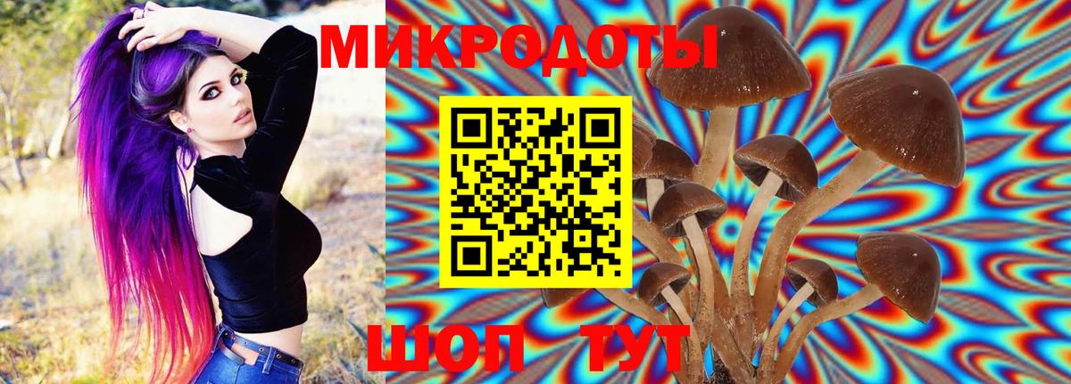 Лыткарино  Галлюциногенные грибы мицелий  Вход с VPN 